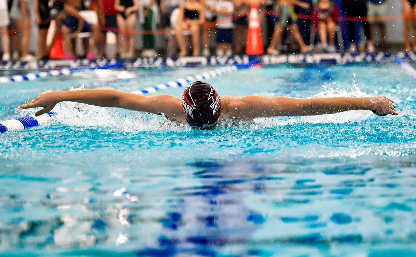UIL Regional - Swimmer's Highlight